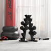 Hexagonal Dumbbells Kit Weight Lifting Exercise for Home Fitness 2x4kg HOMCOM - Image 2
