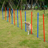 Pet Agility Set Training Play Kit Dog Hoop Poles Tunnel Obedience Equipment - Image 2
