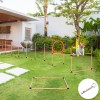 Pet Agility Training Equipment Dog Play Run Jump Hurdle Obedience Training Set - Image 2