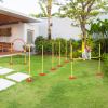 Portable Pet Agility Training Obstacle Set for Jumping Pole,Ring,Turnstile poles - Image 2