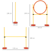 Portable Pet Agility Training Obstacle Set for Jumping Pole,Ring,Turnstile poles - Image 3