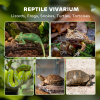 PawHut 10L Glass Terrarium, Reptile Vivarium with Stone Background - Image 3