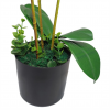 Large Artificial Orchids Display with XL Metal Bowl Planter 70x70cm - Image 3
