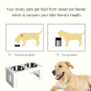 Raised Pet Feeder Elevated Double Staninless Steel Bowls Stand Water White - Image 4