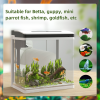 PawHut Aquarium 13L Glass Fish Tank w/ Filter, LED Lighting, Water Pump - Image 4