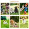 Outdoor 4 PCs Dog Pet Agility Training Equipment Backyard Starter Course Set - Image 5
