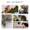 Cat Tree Tower w/ Scratching Post Hammock Hanging Ball Condo Teasing Rope - Image 6