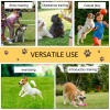 Pet Agility Set Training Play Kit Dog Hoop Poles Tunnel Obedience Equipment - Image 6