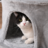 Cat Tree Multi-level Kitten Tower w/ Scratching Post Condo Plush Perches - Image 7