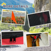 Pet Bicycle Trailer Dog Cat Bike Carrier Water Resistant W/ Hitch Coupler Red - Image 7