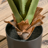HOMCOM Potted Artificial Plants Agave Succulent for Desk Indoor Outdoor, 90cm - Image 7