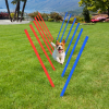 Pet Agility Set Training Play Kit Dog Hoop Poles Tunnel Obedience Equipment - Image 8