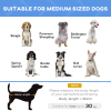 Elevated Pet Bed Cool Cot Dog Cat Portable Folding Home Camping Hammock Foldable - Image 8