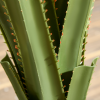 HOMCOM Potted Artificial Plants Agave Succulent for Desk Indoor Outdoor, 90cm - Image 8