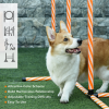 Pet Agility Training Equipment Dog Play Run Jump Hurdle Obedience Training Set - Image 8