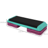 10/15/20cm Aerobic Steppers Compact Stepper for Indoor Exercise Workout HOMCOM - Image 3